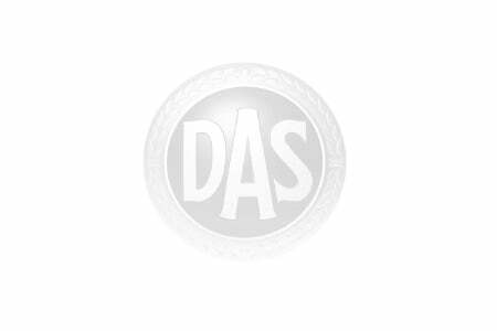 das.jpg