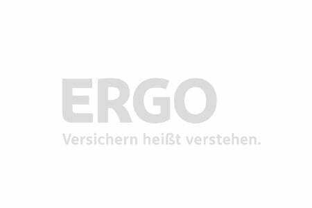 ergo.jpg